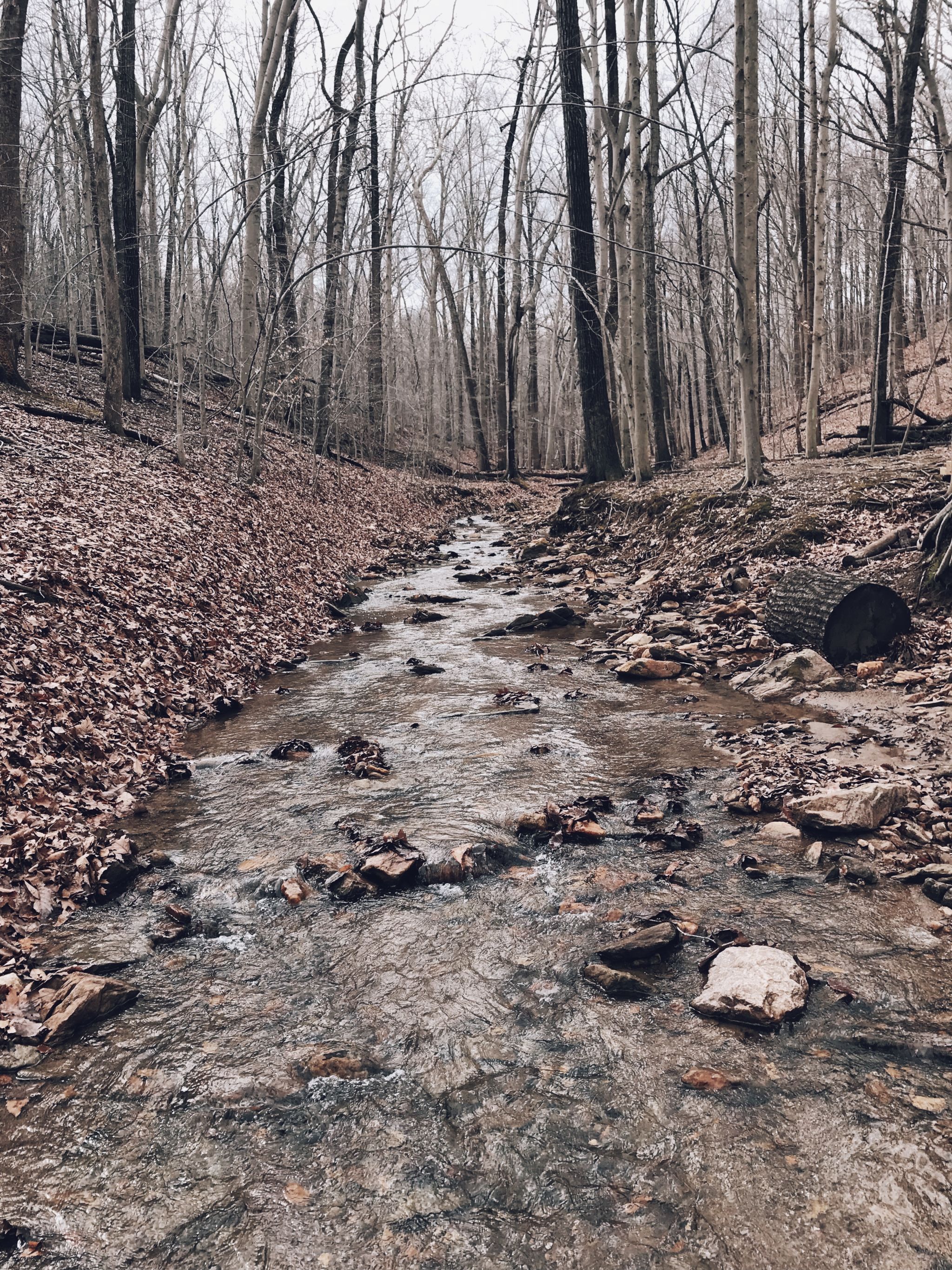 Cromwell Valley Park (HIKE MARYLAND) – Sarah S Reads